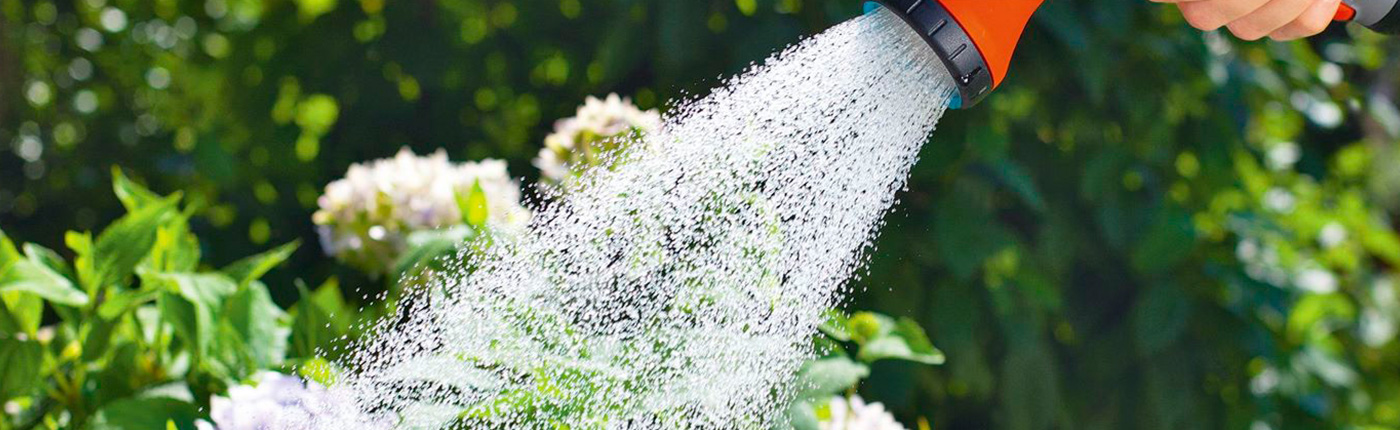 Cómo regar las plantas cuando estás de vacaciones Servei Estació