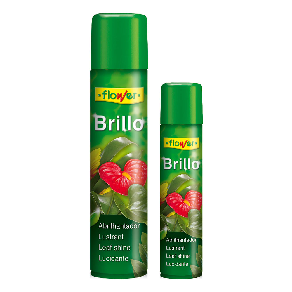 Brillo Premium Antialergénico 800 cc