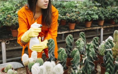 Productos para el cuidado del jardín - Mejora apariencia jardín