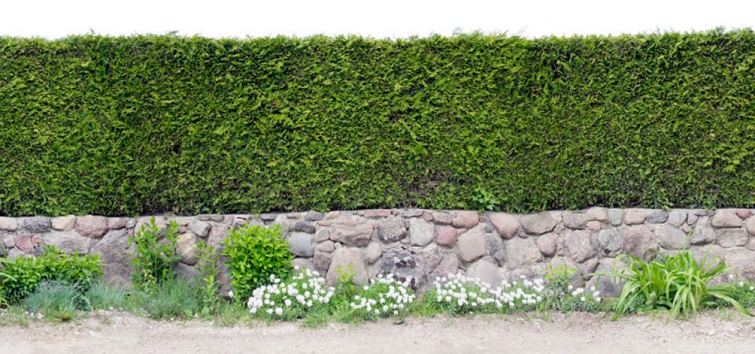 Tipos de ocultación para tu terraza o jardín 