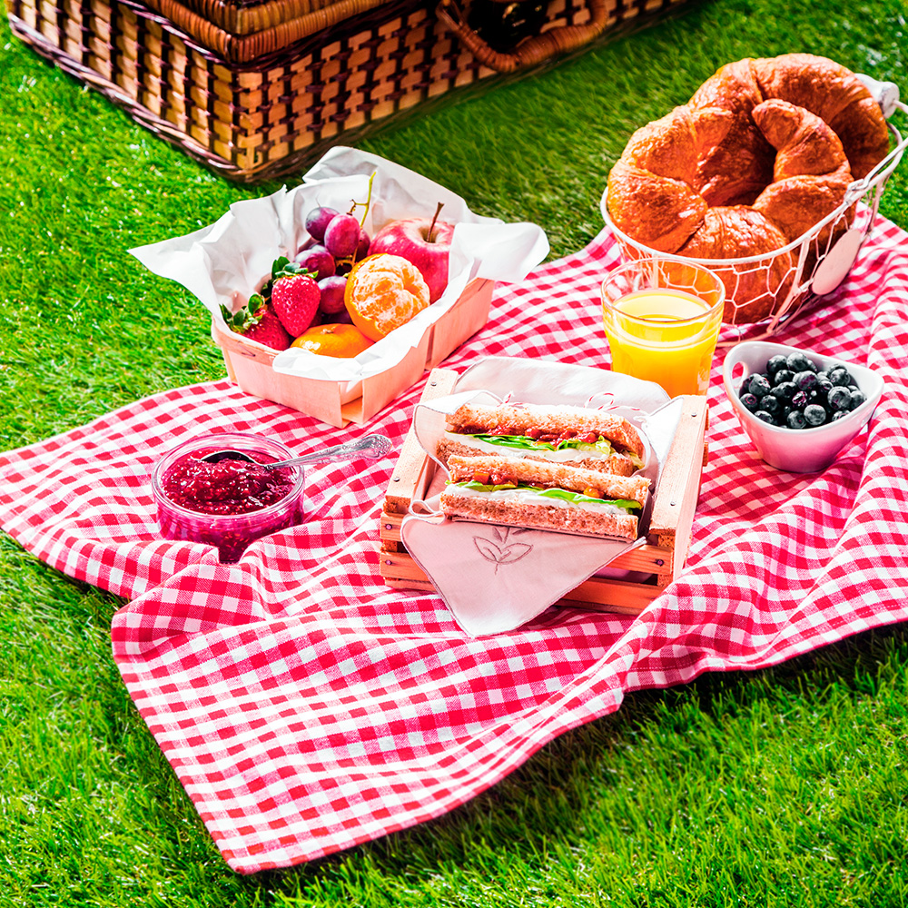 Cómo hacer un picnic en casa - Servei Estació