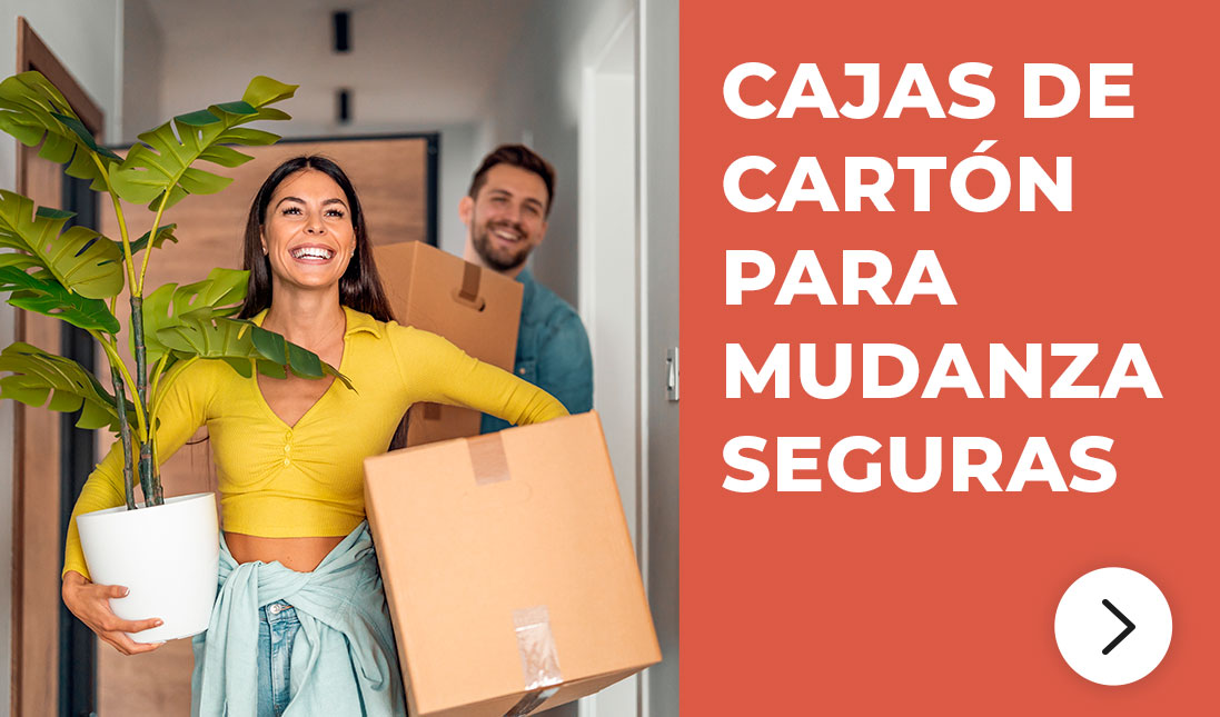 Comprar cajas de cartón para mudanza en Servei Estació