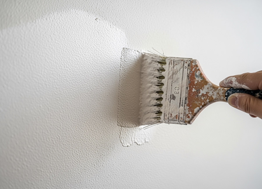 Pintar pladur. Aplicar la pintura | Servei Estació