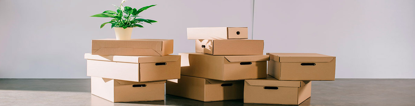 Envases y embalajes de cartón - Servei Estació