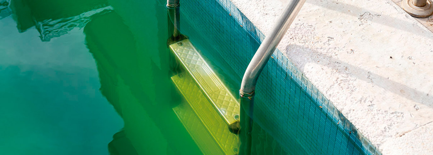 ¿Cómo limpiar el agua verde de la piscina? | Servei Estació