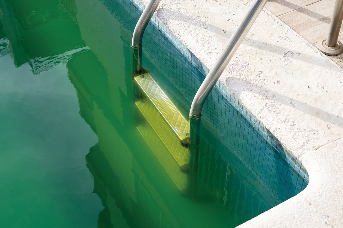 Limpiar agua verde piscina - Servei Estació