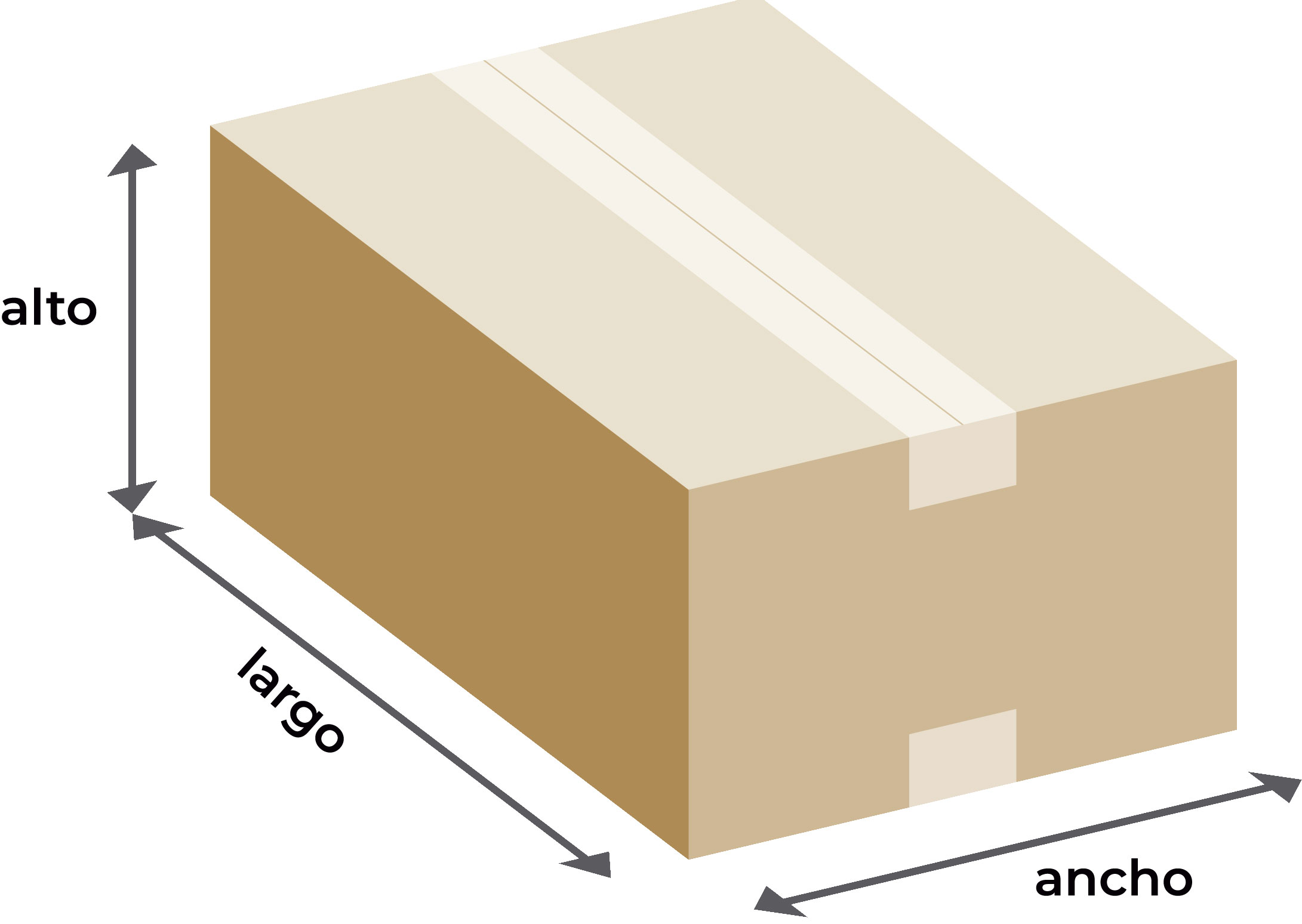 Medidas de una caja de cartón - Servei Estació