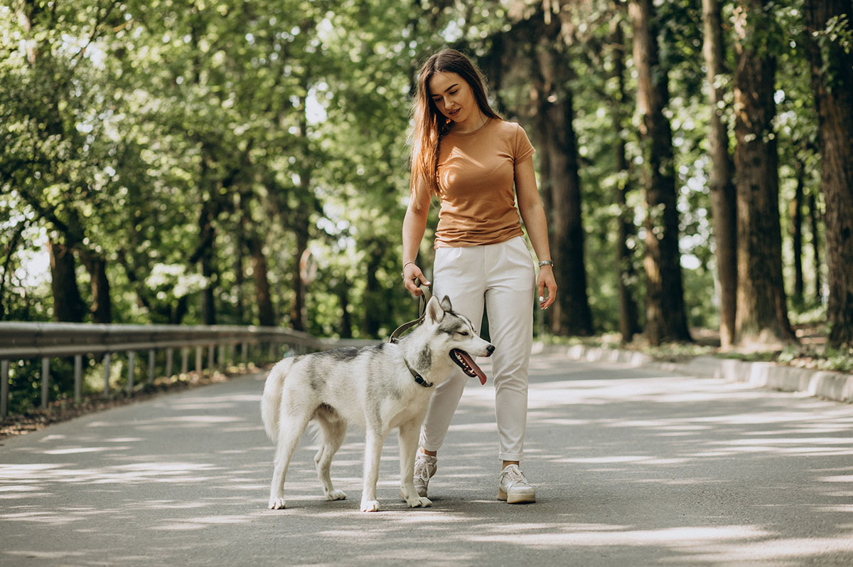 ¿Dónde dejar al perro en vacaciones? - Servei Estació