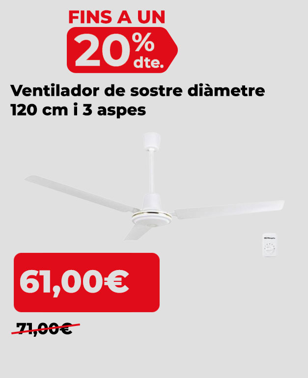 Ventilador de sostre