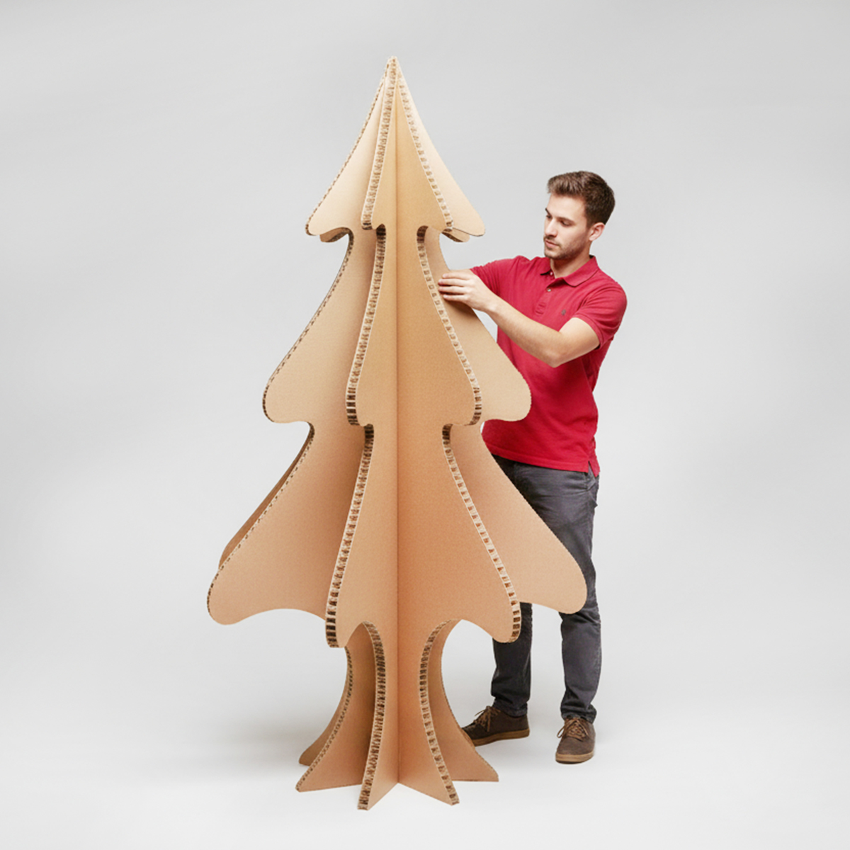 se-arbol-profesional se-arbol-profesional