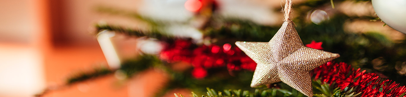 guardar-decoraciones-navidad Guardar las decoraciones de Navidad | Servei Estació