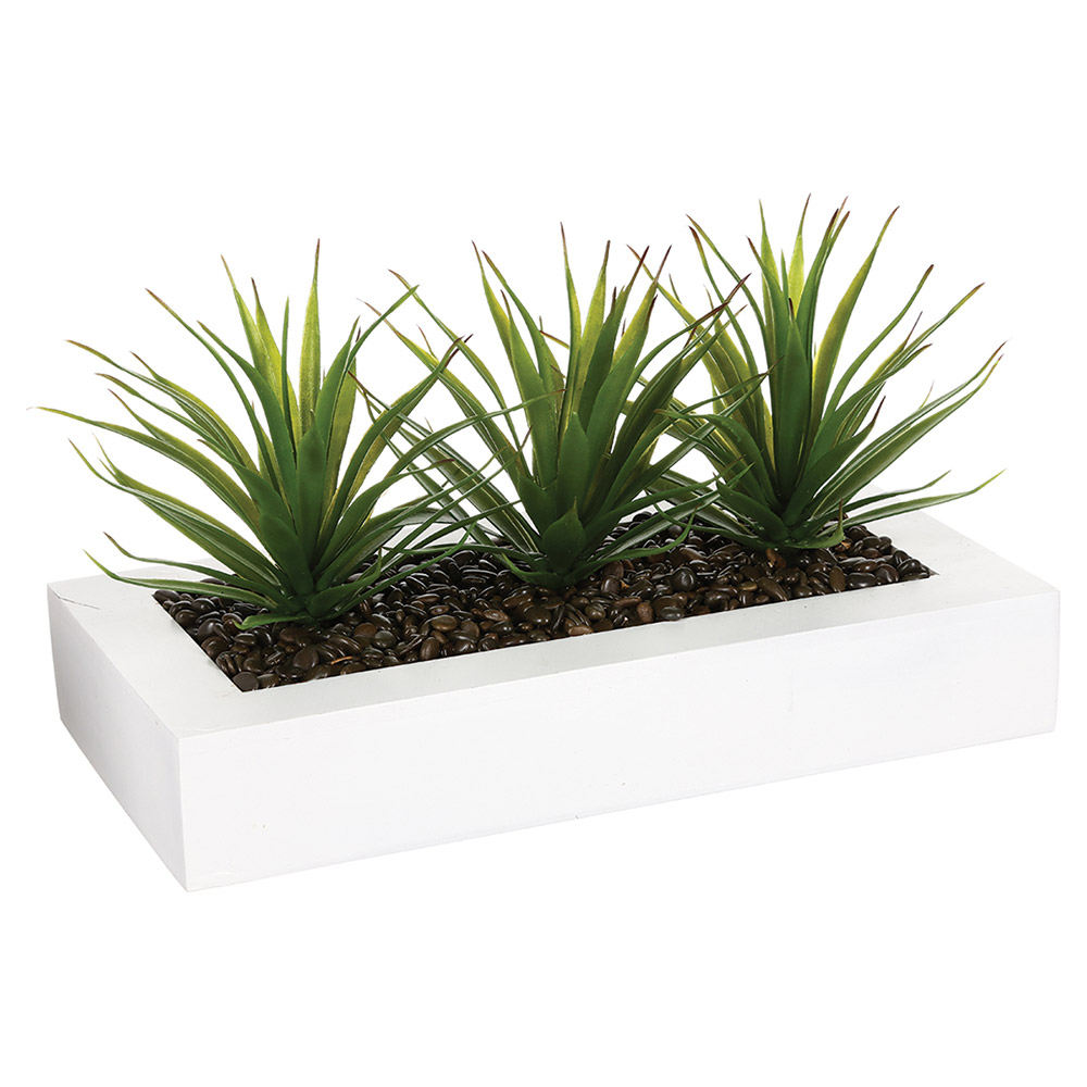Centro de Mesa Keiko Blanco Aloe Vera 17cm