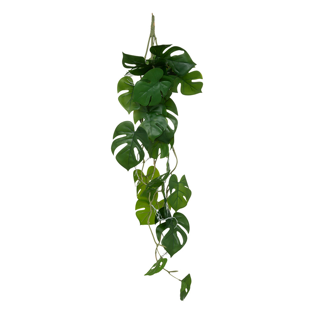 Planta Colgante 85cm