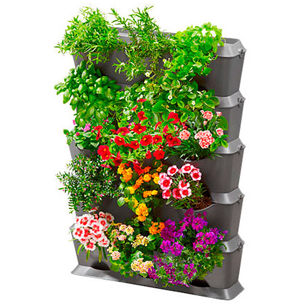 Kit Nature Up Especial