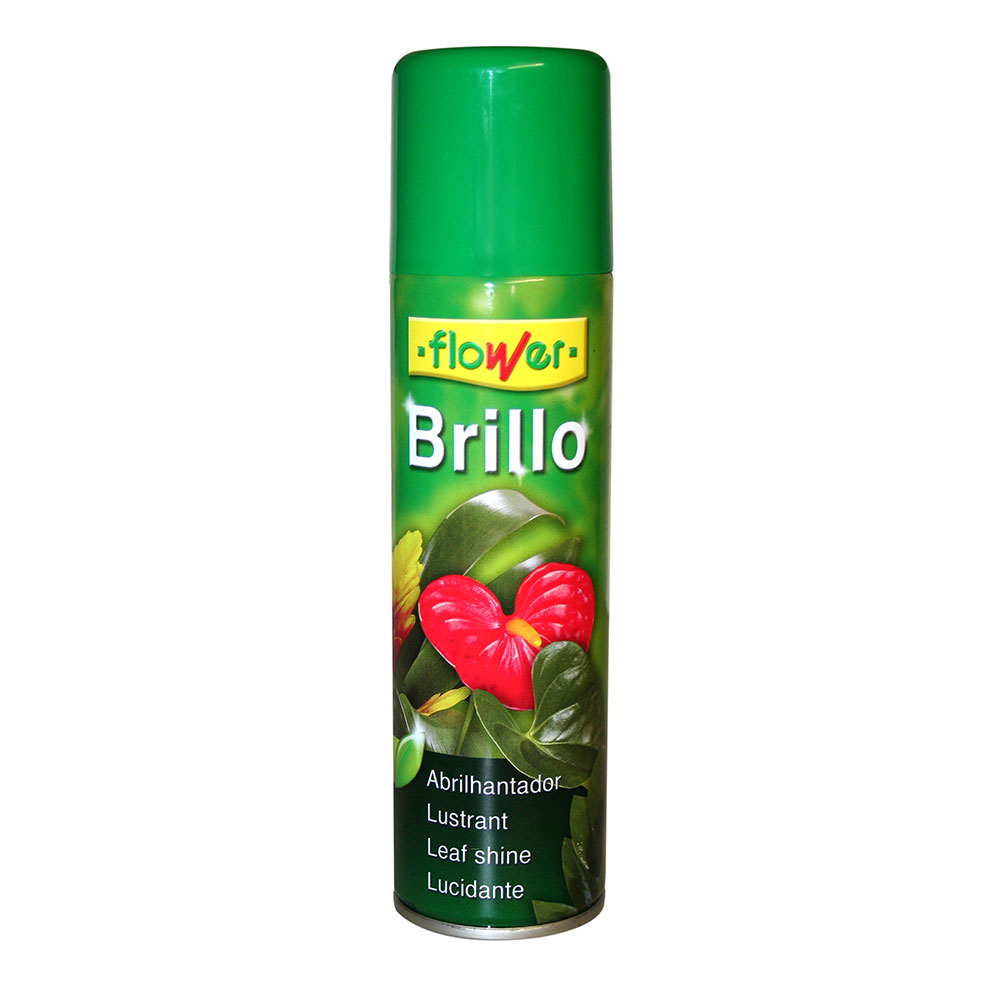 Brillo Premium 335 cc Antialergénico