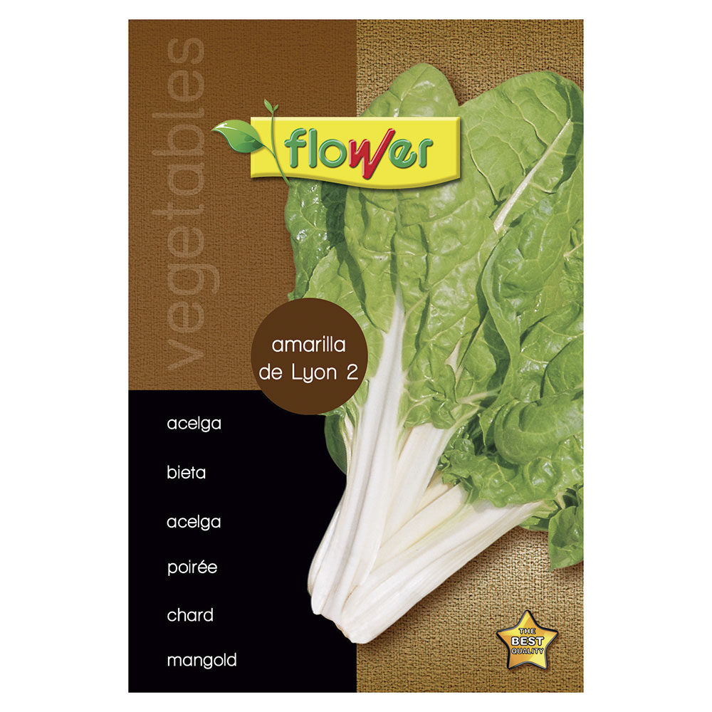 Acelga Amarilla de Lyon 2