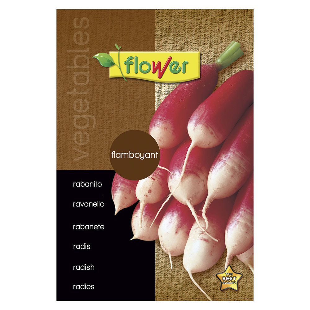 Rabanito Flamboyant 3