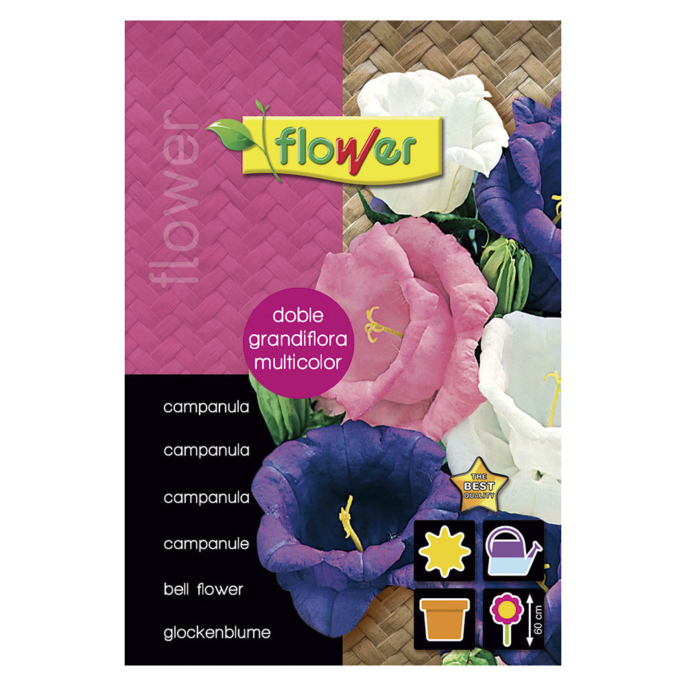 Campanula Doble Grandiflora Multicolor