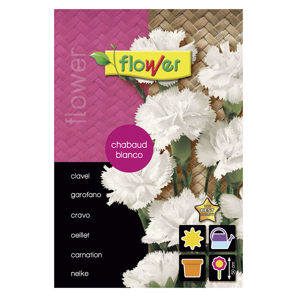 Clavel Chabaud Blanco