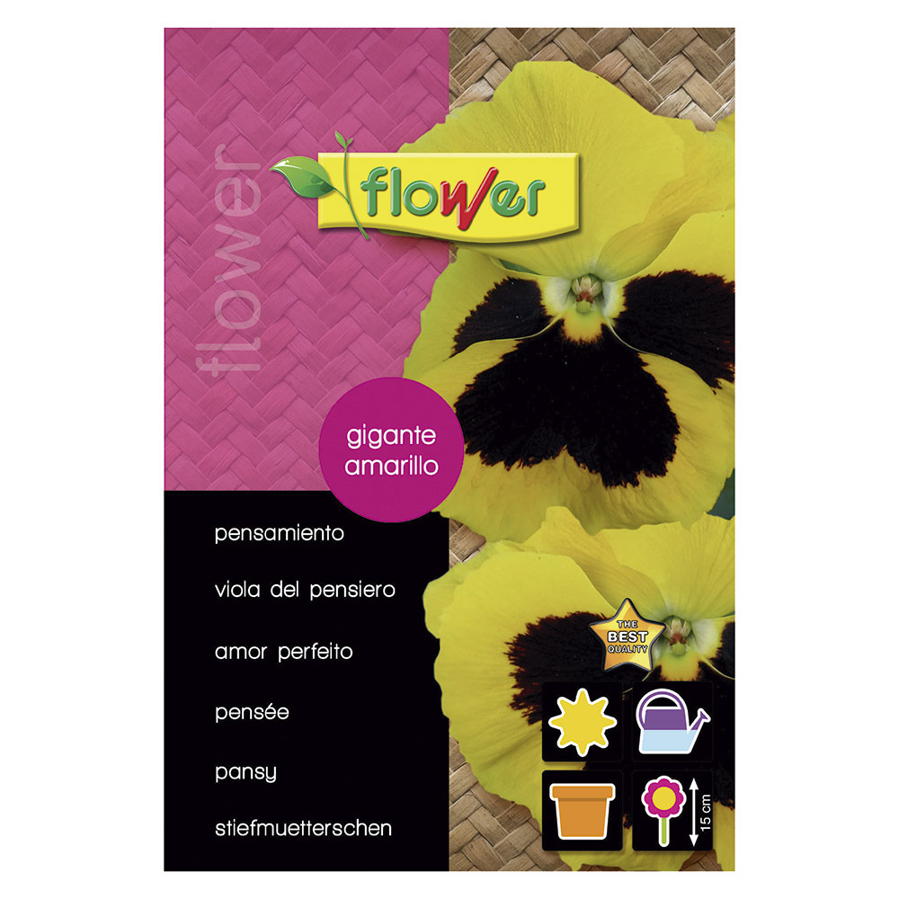 Pensamiento Gigante Amarillo