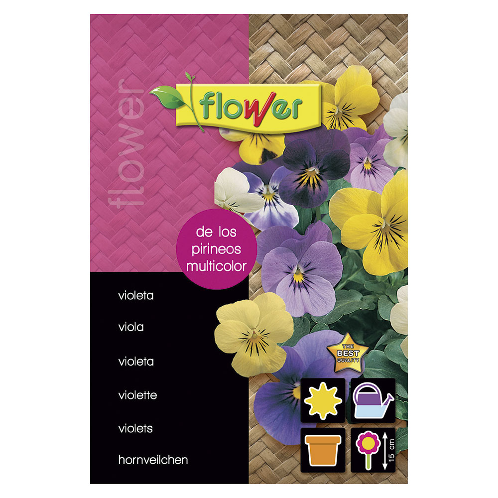 Violeta De Los Pirineos Multicolor