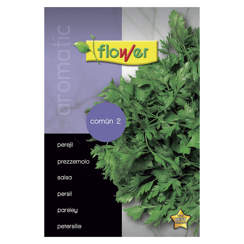 Perejil Común 2
