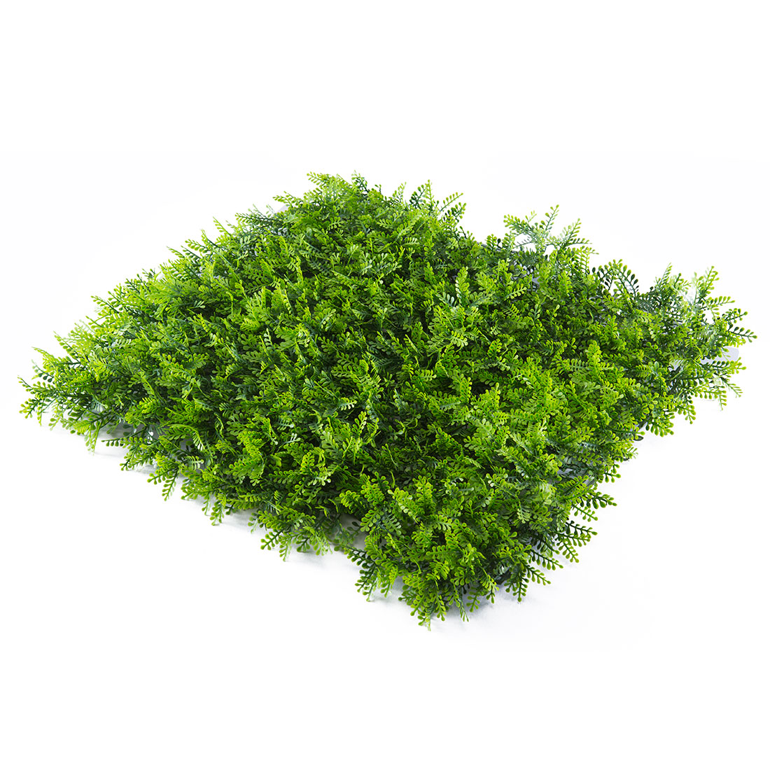Jardín Vertical Helecho Verde Tupido 1x1 metros