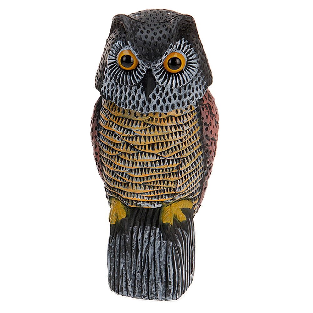 Buho Eólico Contra Aves