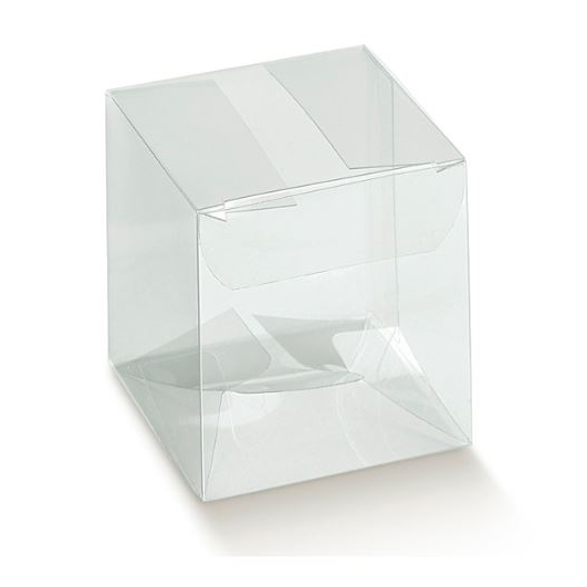 Caja Transparente Pvc 90x45x160mm.