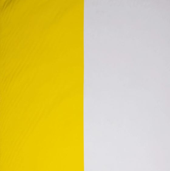 Bandera del Vaticano Visita Papal - ancho 80cm. (a metros)