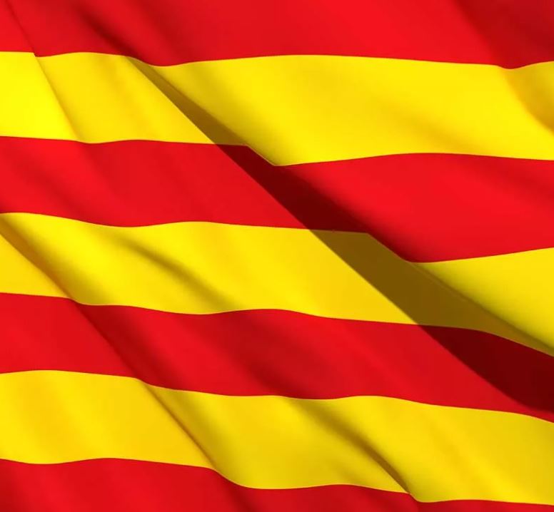 Senyera Bandera de Catalunya de 80 (amplada) x 150 cm (llarg)