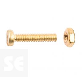 Tornillo Roscado Cilíndrico M1,6x10 (20u.)