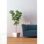 Adhesivo Pared Flores Silvestres 11x10,5Cm