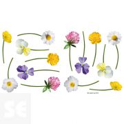 Adhesivo Pared Flores Silvestres 11x10,5Cm