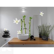 Stickers Deco - Zen 48x68 Cm