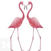 Stickers Deco - Flamencos 48x68 Cm