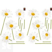 Nature Deco S - Marguerites 2 Sheets 29,7 x 21 Cm, 157063