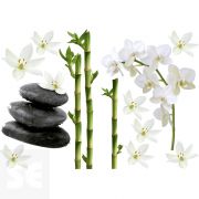 Sticker Deco-S Bambus 157170 (2 Láminas 21x29,7)