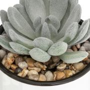 Taza Metálica con Planta