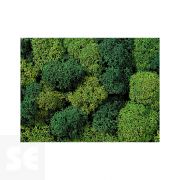 Musgo Islamond Verde Noch 08610 - Bolsa 35 g