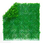 Vertical Buxus Verde 1x1M