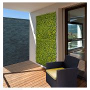 Vertical Buxus Verde 1x1M