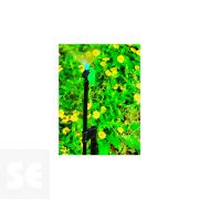 Kit Varijet 180° con Soporte + Varilla