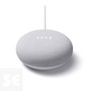 Google Nest Mini Chalk Gris
