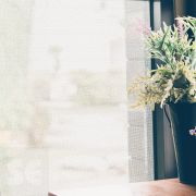 Lámina Estática Gofrado Zenit Ancho 92cm (A metros)