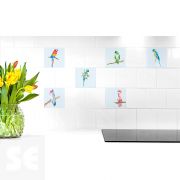 Decoracion Adh. Para Azulejos Loros (6 Láminas 15x15 Cm)