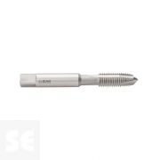 Macho Maq. Hsse Iso529 (M) 3119 Recto 12