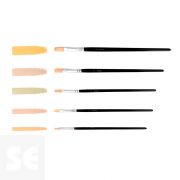 Set 5 Pinceles Cerda Mango Corto Planos Nº 2, 4, 6, 8, 10