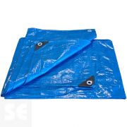 Toldo Rafia Estándar 4x6 m Azul