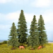 Abetos, 4 Pzs., 80-120Mm De Alto